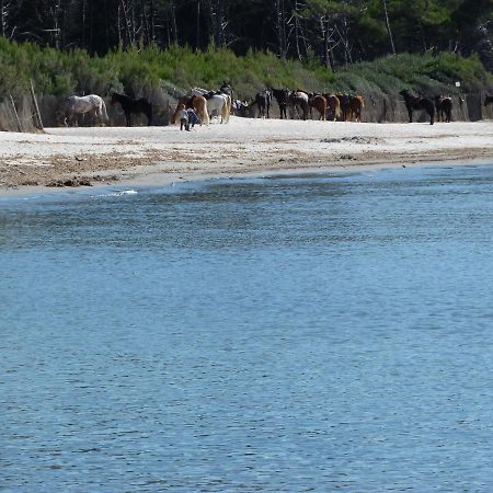 Affittacamere A Due Passi Dal Mare Marina di Cecina Exteriör bild