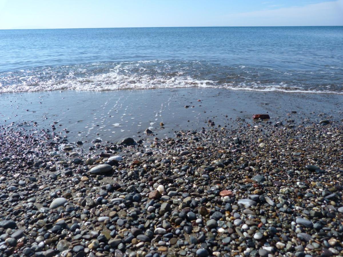 Affittacamere A Due Passi Dal Mare Marina di Cecina Exteriör bild