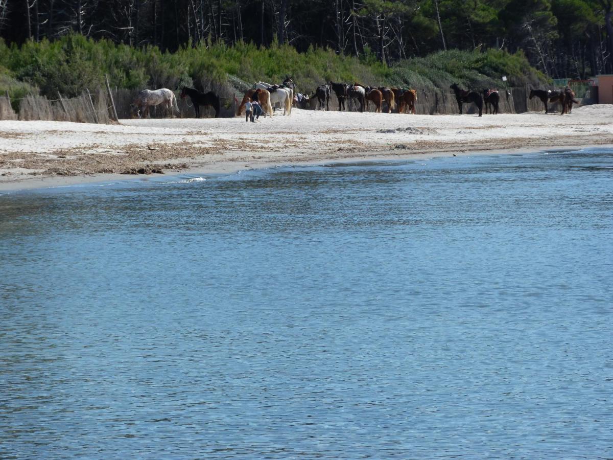 Affittacamere A Due Passi Dal Mare Marina di Cecina Exteriör bild